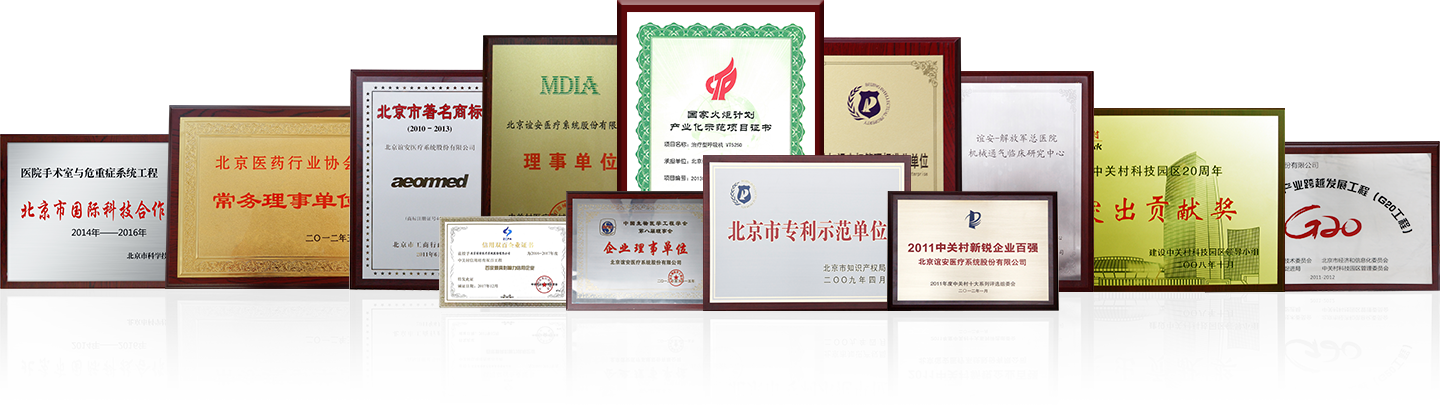 政府榮譽